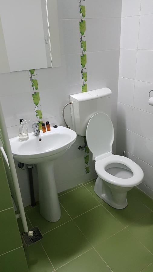 Apartament 13 Central Târgu-Mureş エクステリア 写真